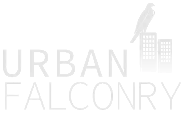 Logo Lite - Urban Falconry